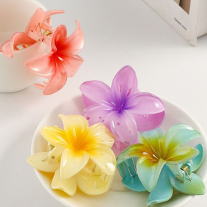 کلیپس پینترستی (پلومریا)