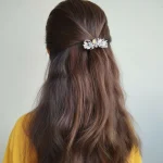 گیره فرانسوی پروانه زایا